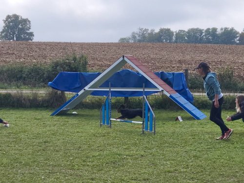 Stage d'agility, 12 octobre 2025