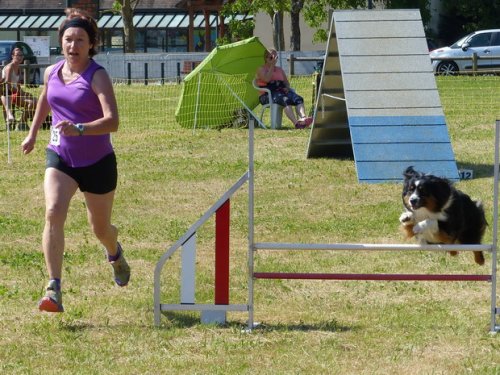 Concours d'agility de Fontaines, le 28 mai 2017