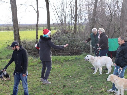 Education canine, 21 décembre 2019