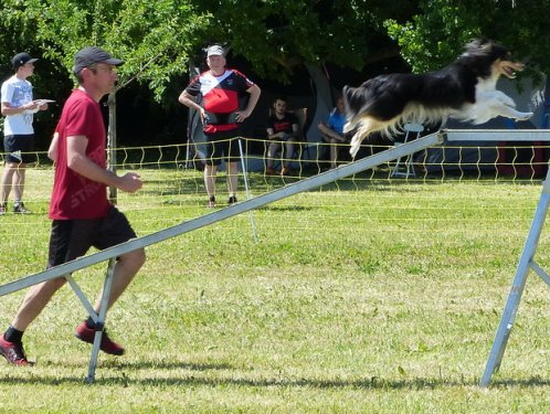 Concours d'agility de Fontaines, le 28 mai 2017