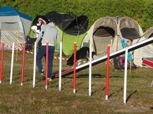 Concours d'agility, Autun, 9 septembre 2018