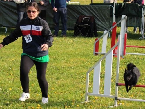 Premier concours d'agility de Fontaines, le 12 avril 2015