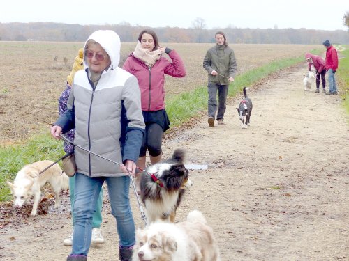 Education canine, 3 décembre 2022