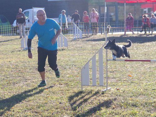 Concours d'agility, Fontaines 11 septembre 2022