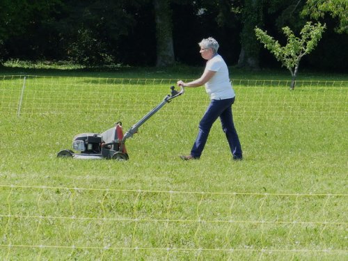 Concours d'agility de Fontaines, le 29 mai 2016