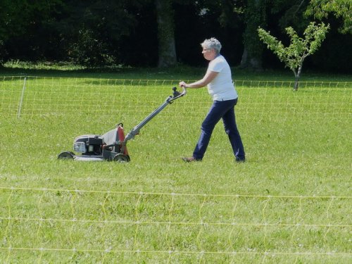 Concours d'agility de Fontaines, le 29 mai 2016