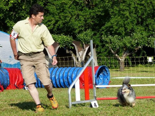 Concours d'agility de Fontaines, le 28 mai 2017