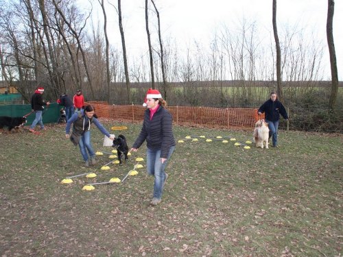 Education canine, 21 décembre 2019