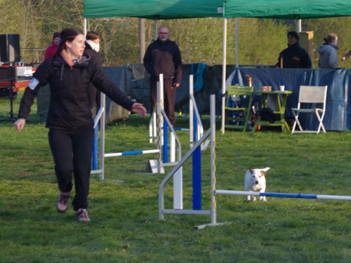 Concours d'agility, Gergy, 14 avril 2019