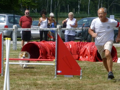 Concours d'agility, Montret, 30 juillet 2017