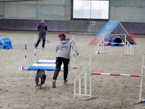 Concours d'agility, Dijon 8 décembre 2024