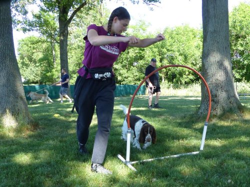 Education canine, juin 2022