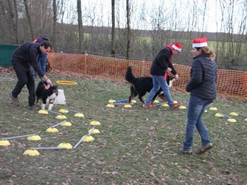 Education canine, 21 décembre 2019