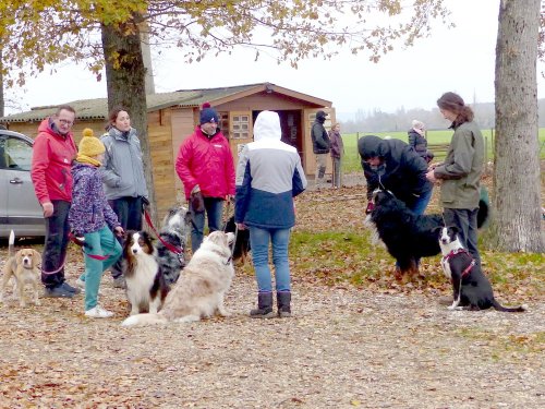 Education canine, 3 décembre 2022