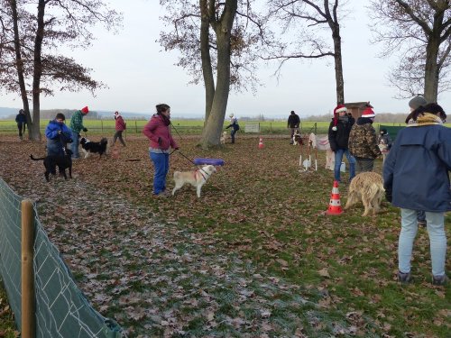 Education canine, 17 décembre 2022