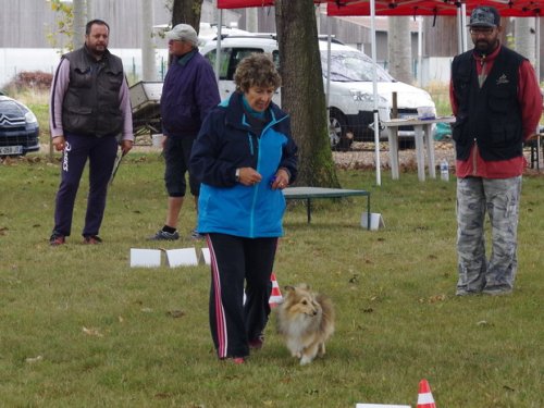 CAESC et Pass-agility Fontaines 17 septembre 2016