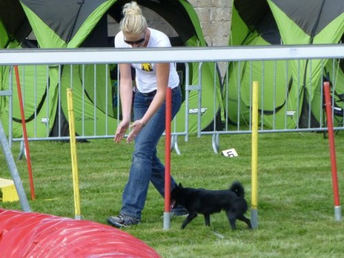 Concours d'agility, Autun, 14 septembre 2014