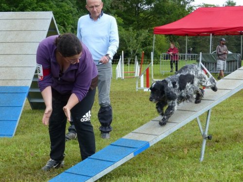 Concours d'agility de Fontaines, le 29 mai 2016