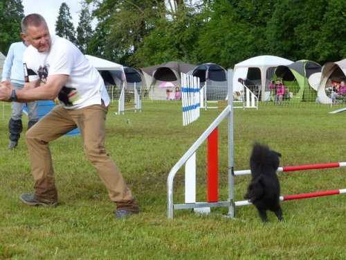 Concours d'agility de Fontaines, le 29 mai 2016