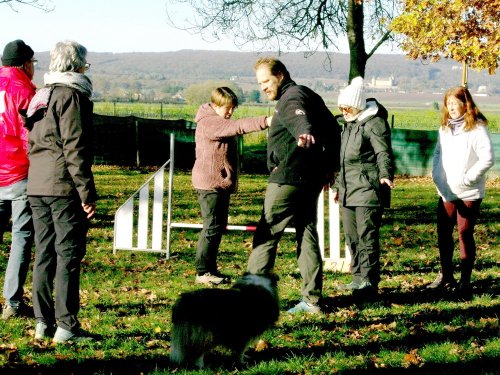 Stage d'agility, 26 novembre 2023