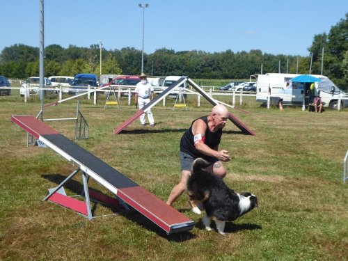 Concours d'agility, Montret, 29 juillet 2018