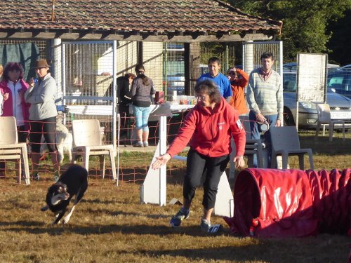 Concours d'agility, Autun, 9 septembre 2018