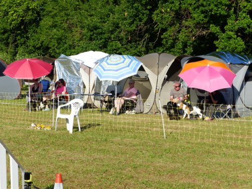 Concours d'agility de Fontaines, le 28 mai 2017