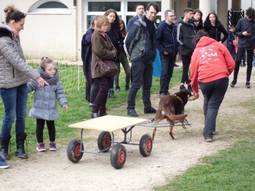 Fête de la cloche à Fontaines le 2 avril 2018