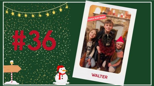 Concours photos 2024 : sur le thème de Noël