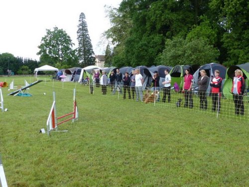 Concours d'agility de Fontaines, le 29 mai 2016