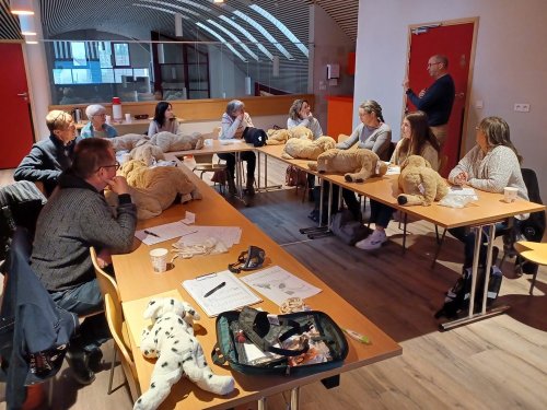 Formation secours canin 1er trimestre 2025