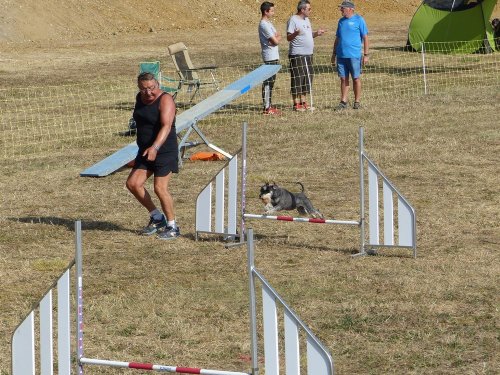 Concours d'agility de Fontaines, le 15 septembre 2019