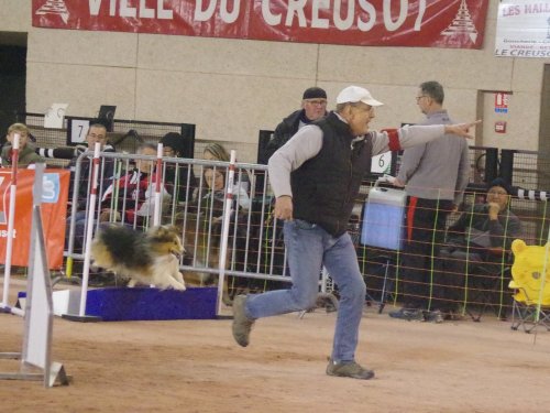 Concours d'agility, Le Creusot, 24 novembre 2019