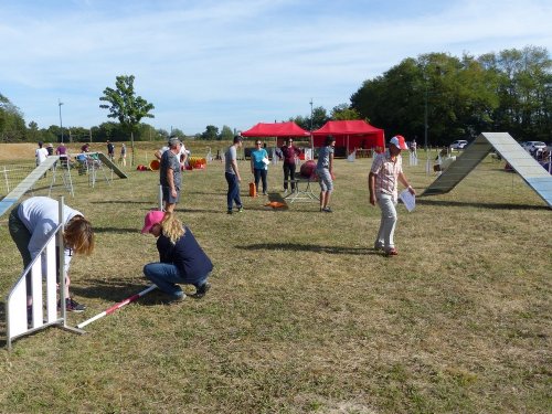 Concours d'agility de Fontaines, le 16 septembre 2018