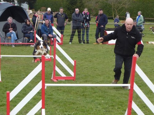 Concours d'agility, Barges, 1 avril 2018