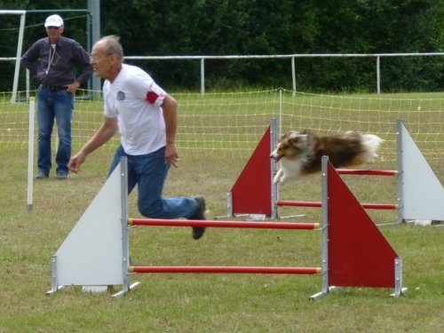 Concours d'agility, Magny sur Tille, 2 juillet 2017