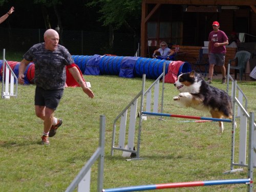 Concours d'agility, Daix, 17 juin 2018