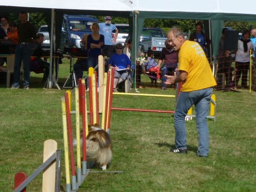 Concours d'agility, Autun, 10 septembre 2017