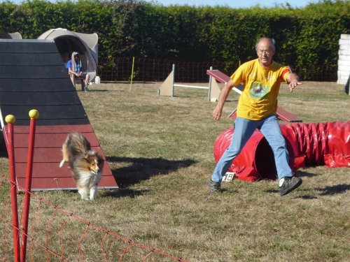 Concours d'agility, Autun, 9 septembre 2018