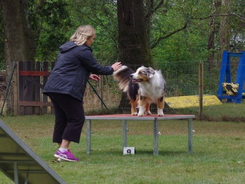 CAESC et Pass-agility Fontaines 17 septembre 2016