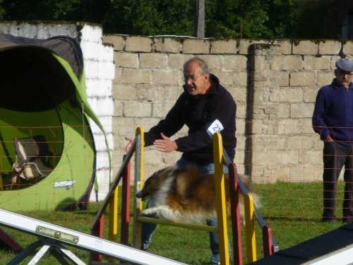 Concours d'agility, Autun, 10 septembre 2017