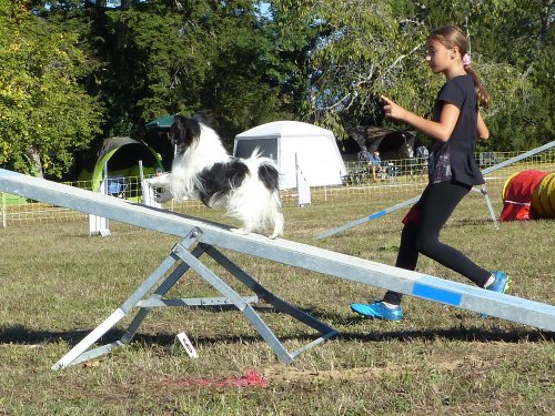 Concours d'agility, Fontaines 11 septembre 2022