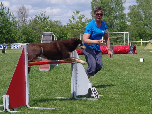 Concours d'agility, Magny sur Tille, 26 mai 2019