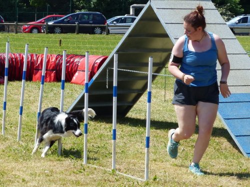 Concours d'agility de Fontaines, le 28 mai 2017