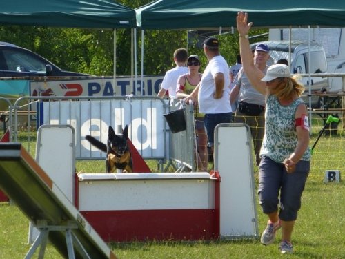 Concours d'agility, Magny sur Tille, 12 juillet 2015