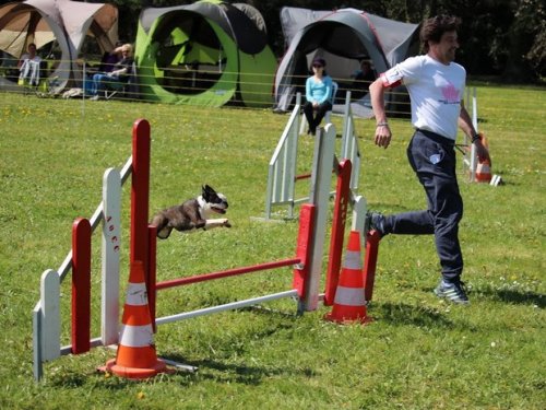 Premier concours d'agility de Fontaines, le 12 avril 2015