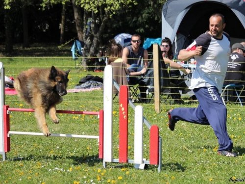 Premier concours d'agility de Fontaines, le 12 avril 2015