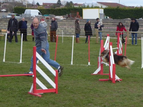 Concours d'agility, Barges, 1 avril 2018