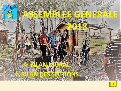 Bilan 2018 présenté lors de l'assemblée générale 2019