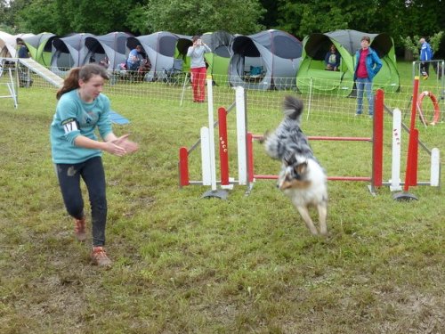 Concours d'agility de Fontaines, le 29 mai 2016